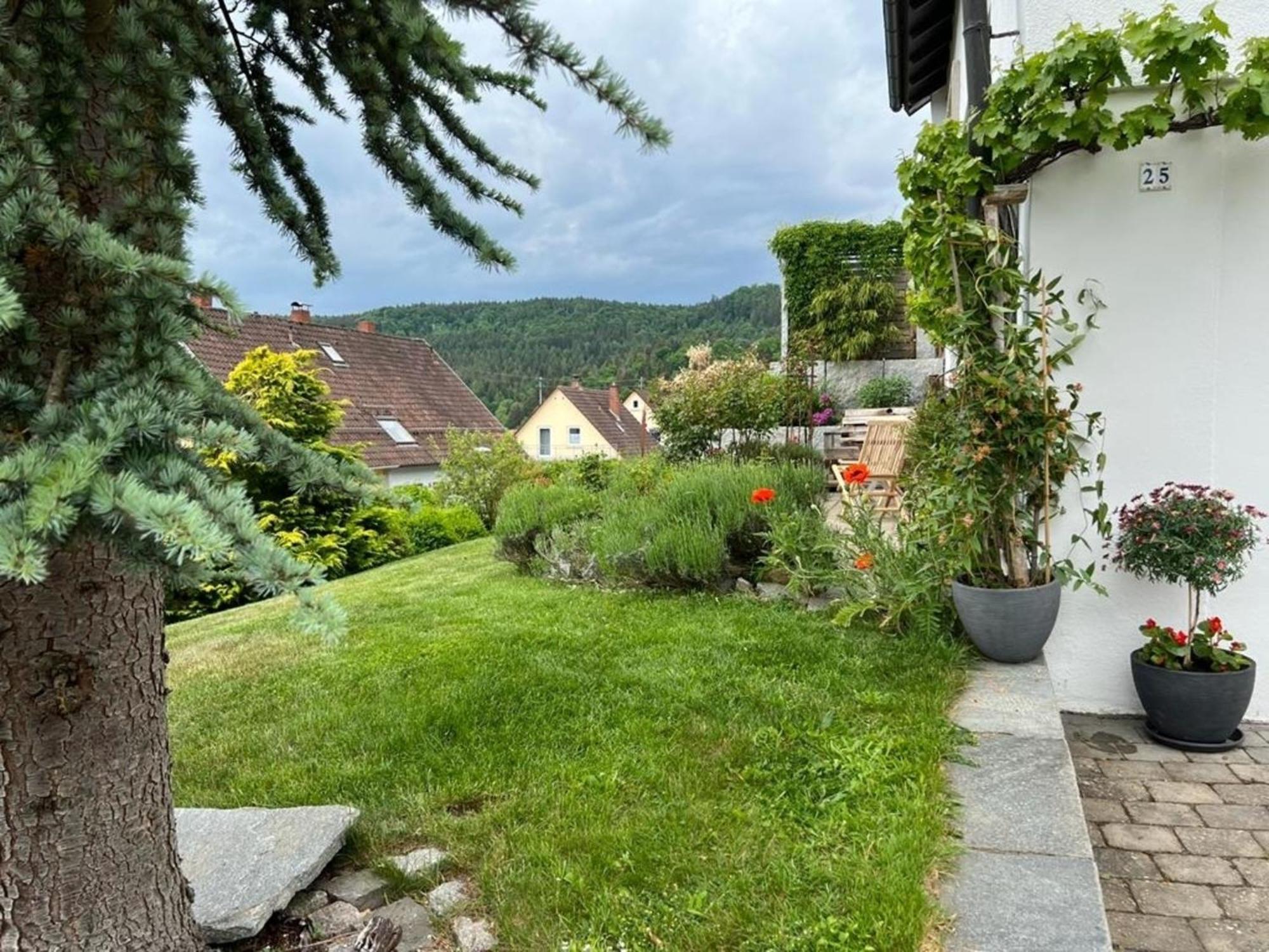 Ferienwohnung Jardin De Lavande Fridingen an der Donau Екстериор снимка