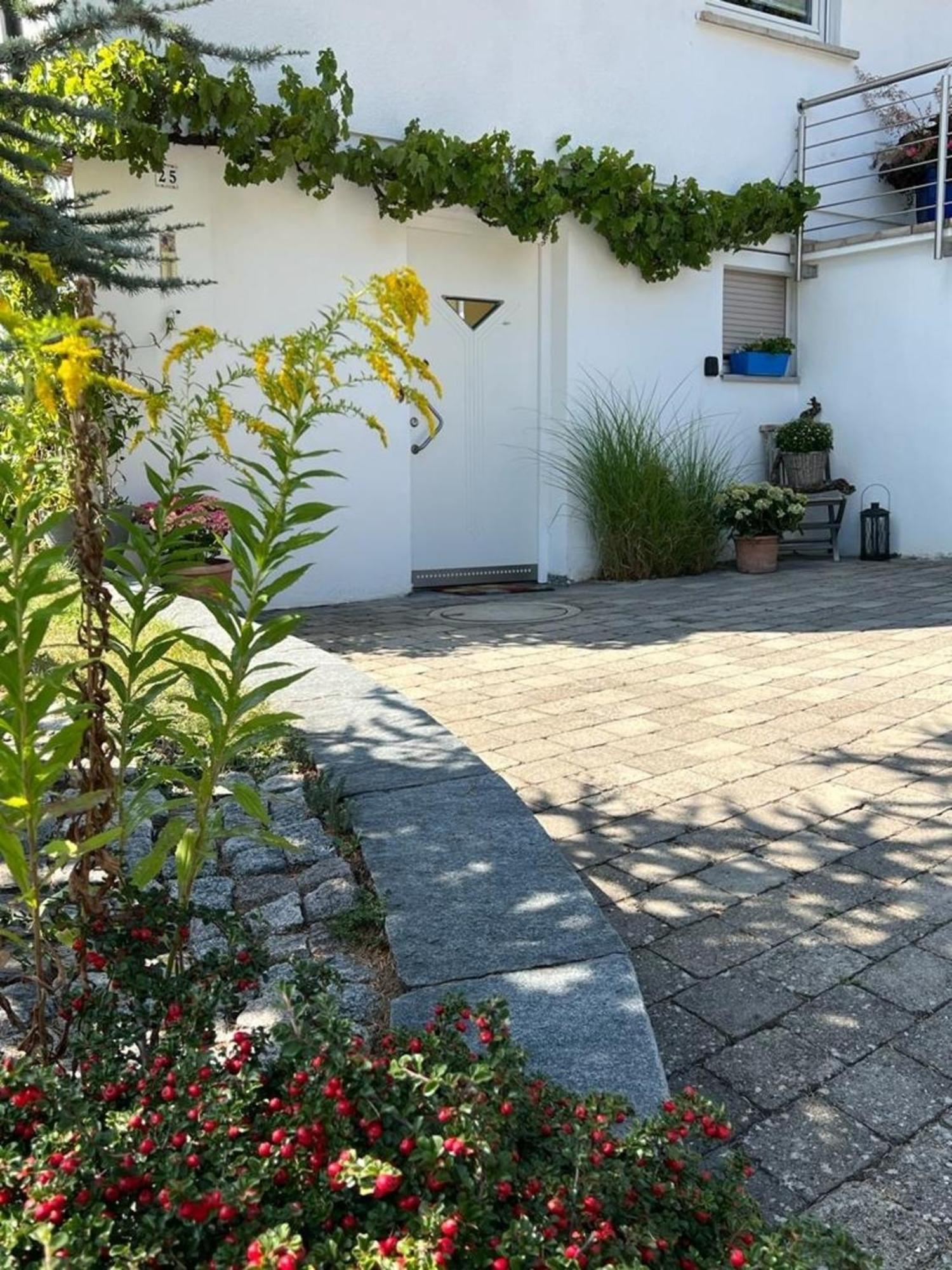 Ferienwohnung Jardin De Lavande Fridingen an der Donau Екстериор снимка