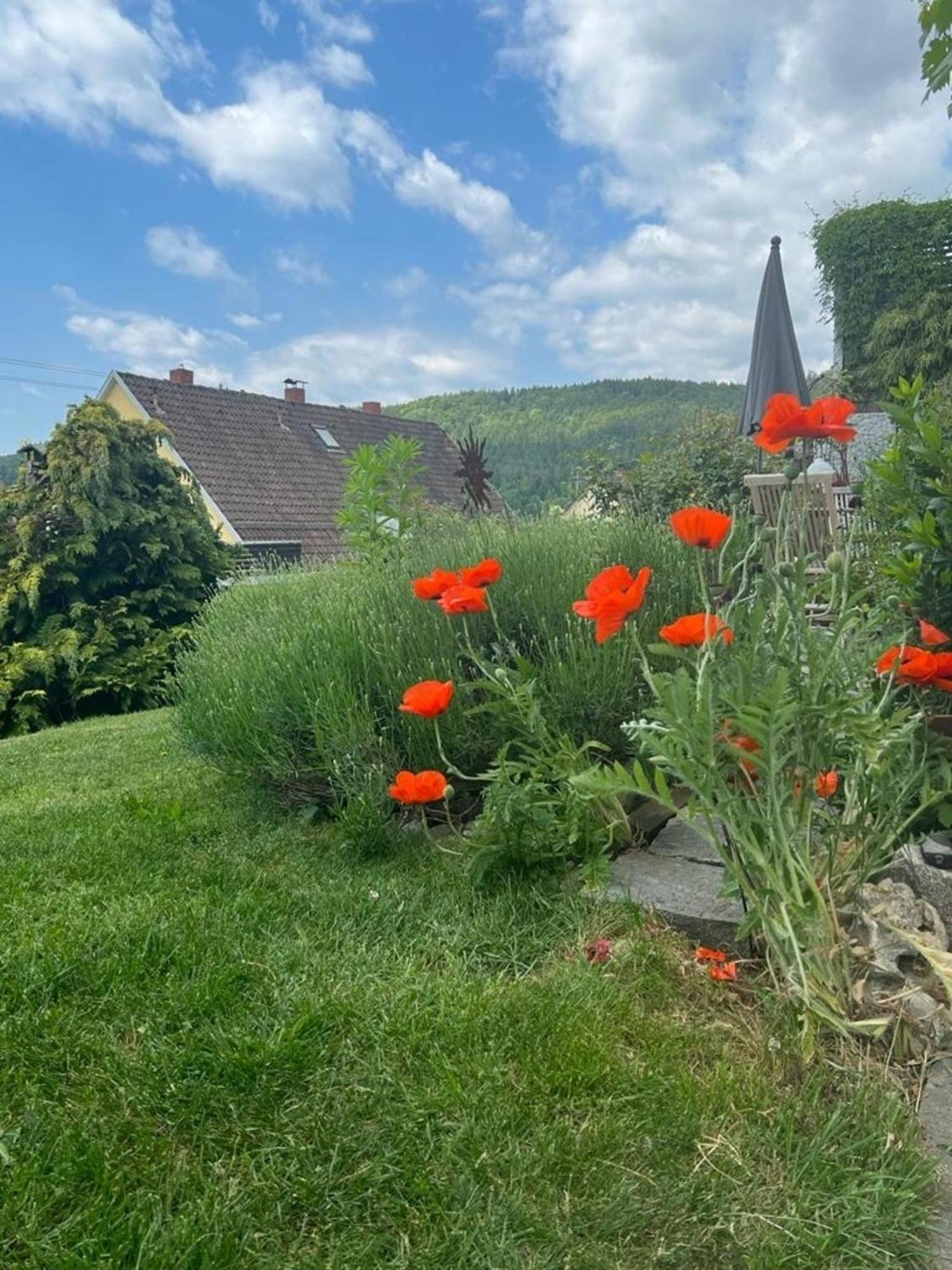 Ferienwohnung Jardin De Lavande Fridingen an der Donau Екстериор снимка