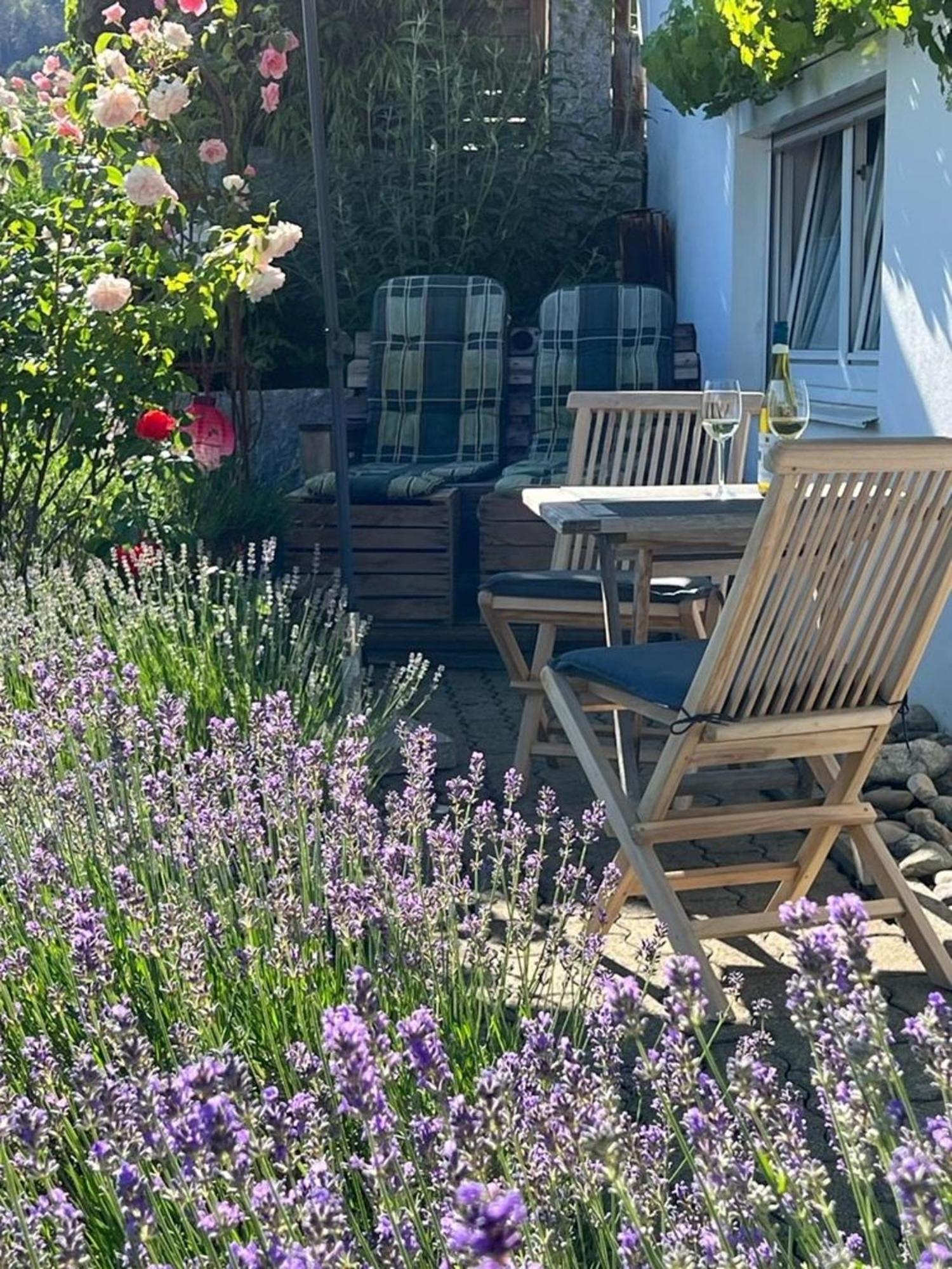 Ferienwohnung Jardin De Lavande Fridingen an der Donau Екстериор снимка